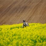 Aktualne optymalizacja treści w doświadczeniu przekształceń mających miejsce w algorytmach Google i kanałach społecznościowych